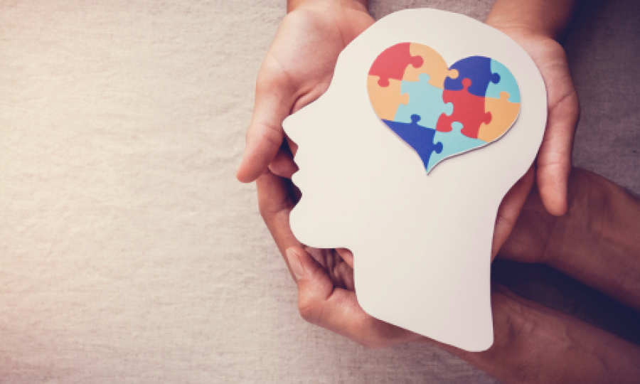 hands holding a silholette of a head with a multi colour hear puzzle as a brain